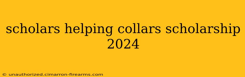 scholars helping collars scholarship 2024