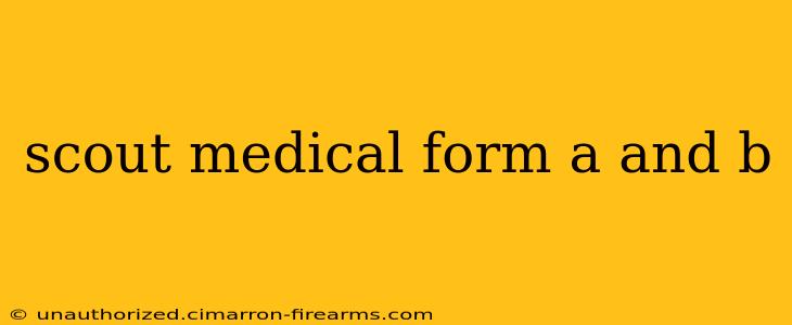 scout medical form a and b