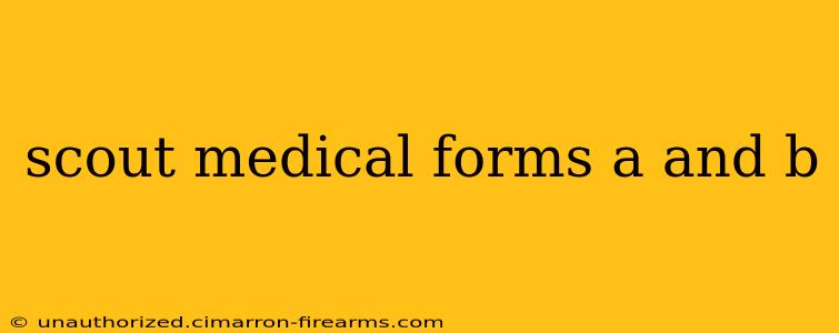 scout medical forms a and b