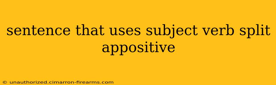 sentence that uses subject verb split appositive