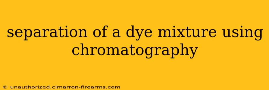 separation of a dye mixture using chromatography