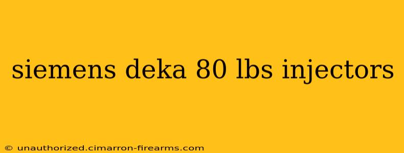 siemens deka 80 lbs injectors