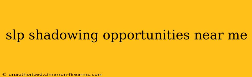 slp shadowing opportunities near me