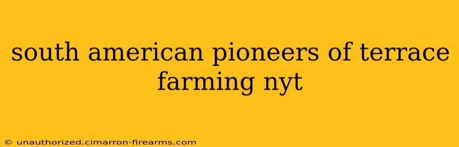 south american pioneers of terrace farming nyt