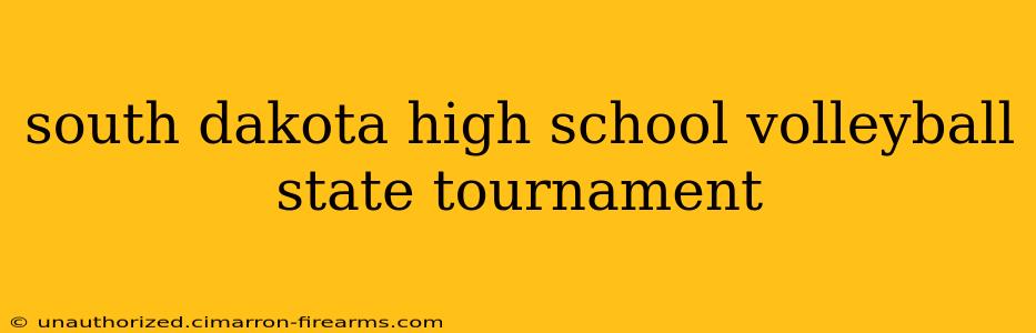 south dakota high school volleyball state tournament