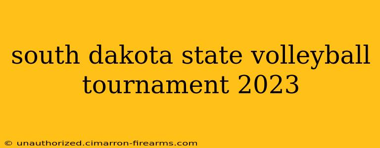 south dakota state volleyball tournament 2023