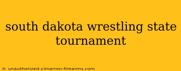 south dakota wrestling state tournament