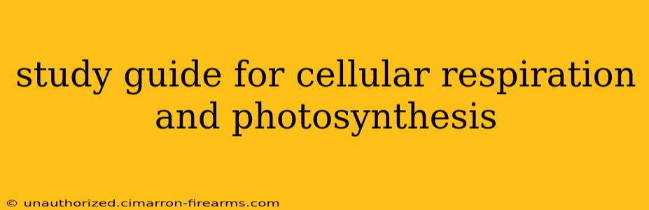 study guide for cellular respiration and photosynthesis