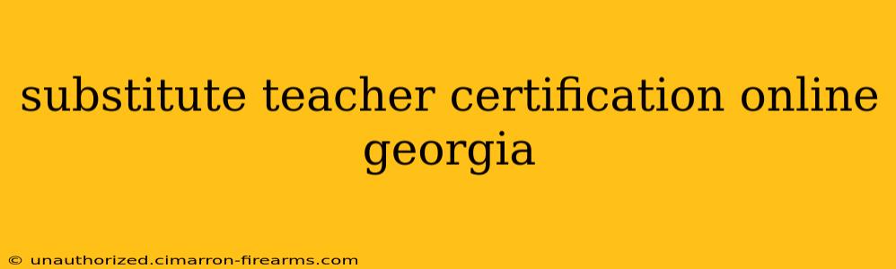 substitute teacher certification online georgia