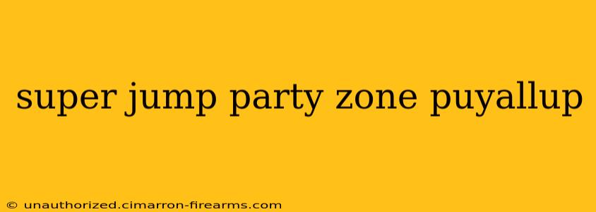 super jump party zone puyallup