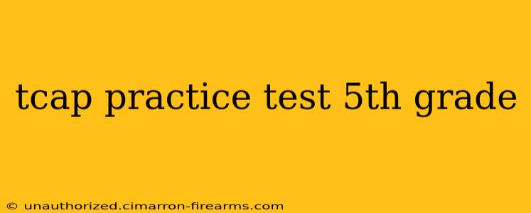 tcap practice test 5th grade