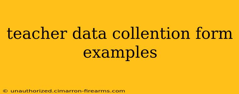 teacher data collention form examples