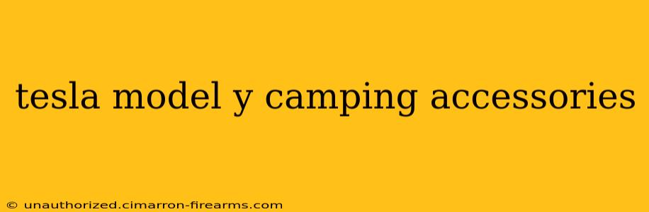 tesla model y camping accessories