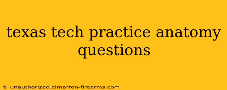 texas tech practice anatomy questions