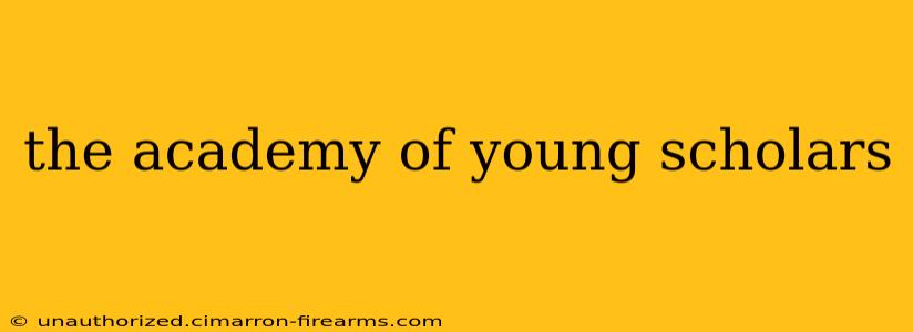 the academy of young scholars