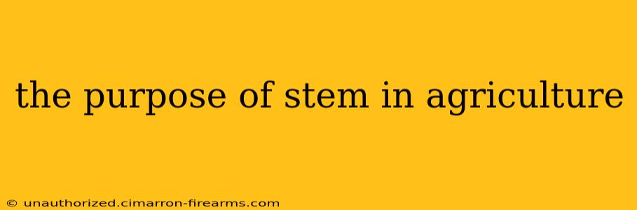 the purpose of stem in agriculture