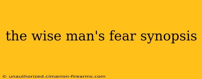 the wise man's fear synopsis