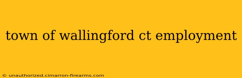 town of wallingford ct employment