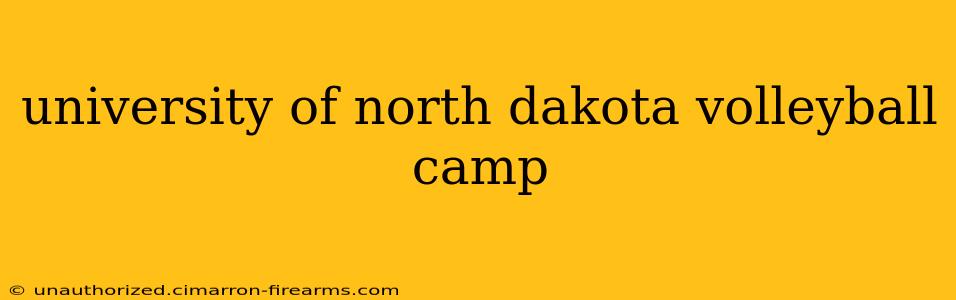 university of north dakota volleyball camp