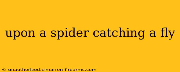 upon a spider catching a fly