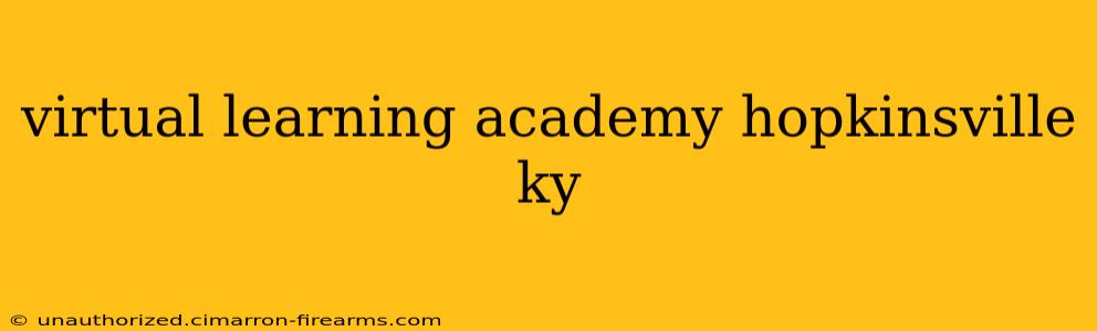 virtual learning academy hopkinsville ky