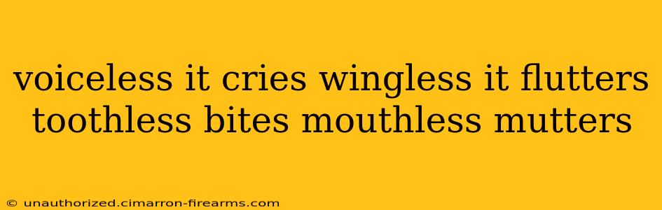 voiceless it cries wingless it flutters toothless bites mouthless mutters