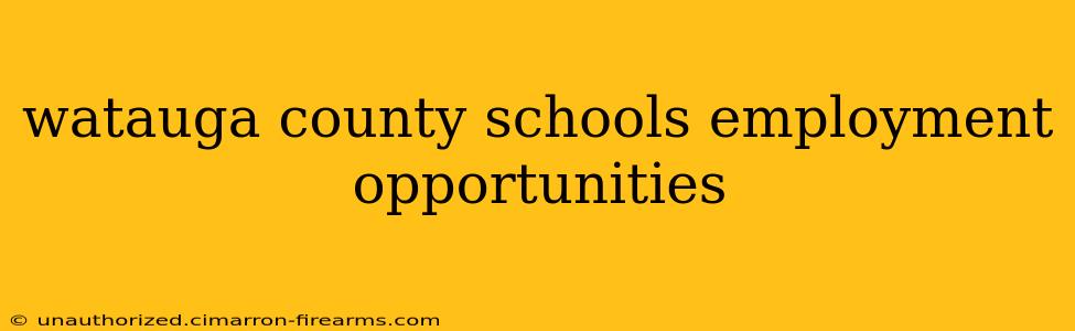 watauga county schools employment opportunities