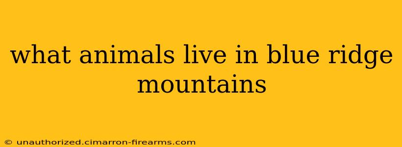 what animals live in blue ridge mountains