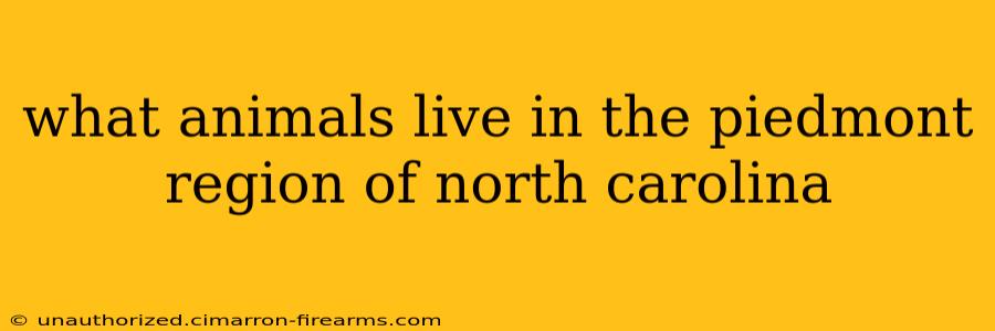 what animals live in the piedmont region of north carolina