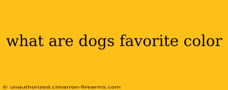 what are dogs favorite color