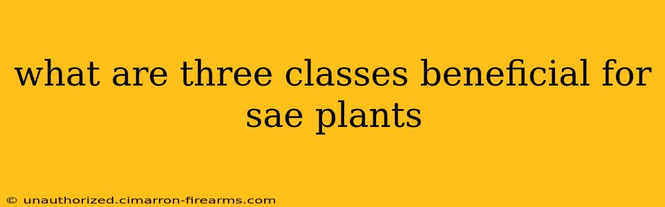 what are three classes beneficial for sae plants