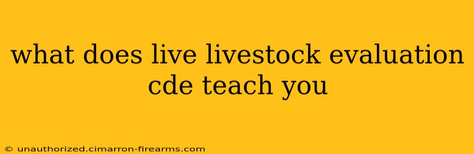 what does live livestock evaluation cde teach you