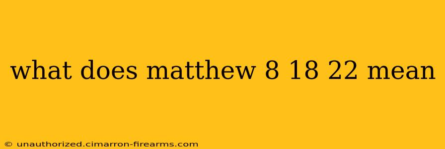 what does matthew 8 18 22 mean