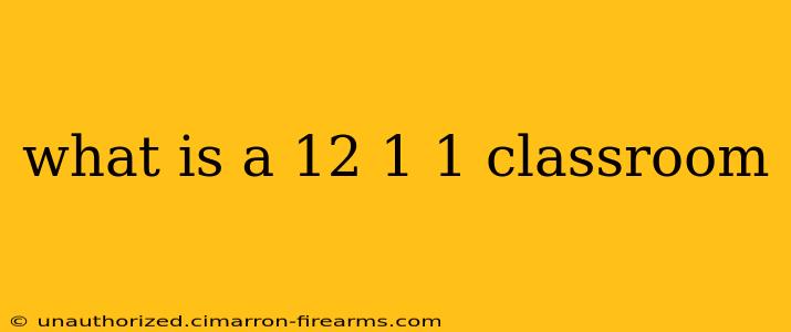 what is a 12 1 1 classroom