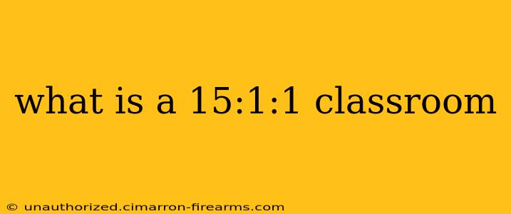 what is a 15:1:1 classroom