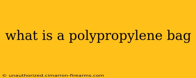 what is a polypropylene bag