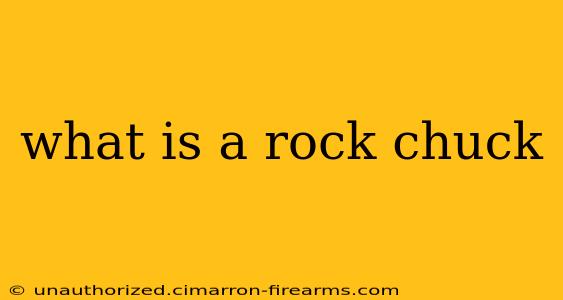 what is a rock chuck