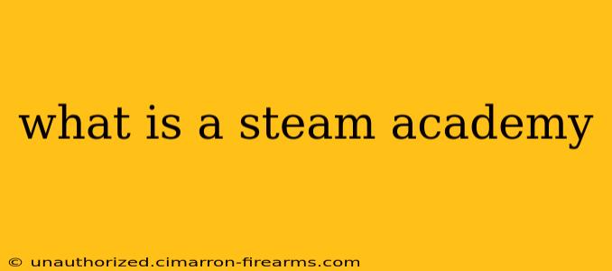 what is a steam academy