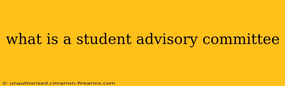 what is a student advisory committee