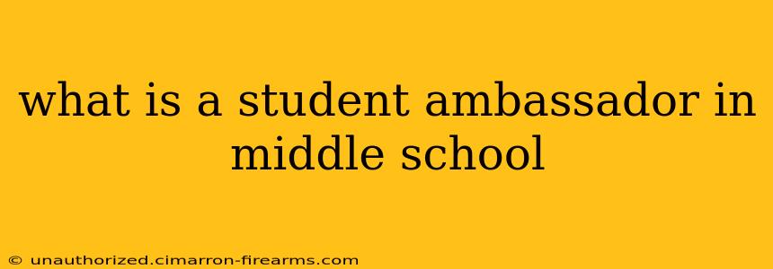 what is a student ambassador in middle school