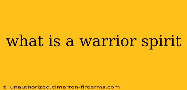 what is a warrior spirit