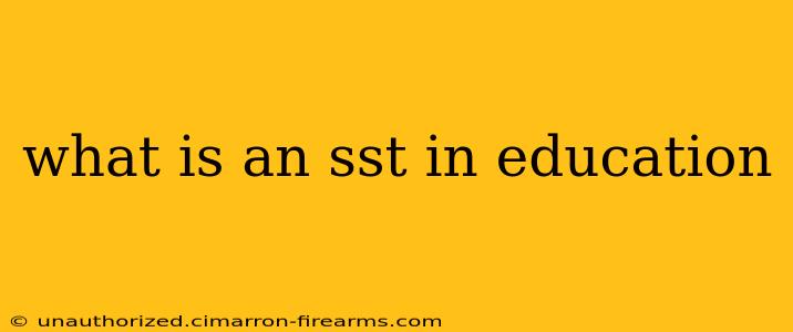 what is an sst in education