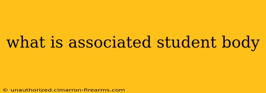 what is associated student body