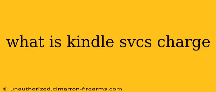 what is kindle svcs charge