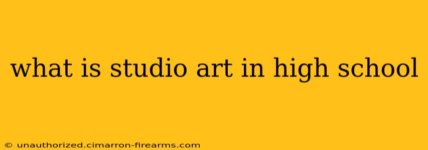 what is studio art in high school