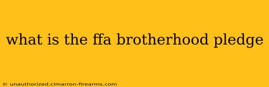 what is the ffa brotherhood pledge