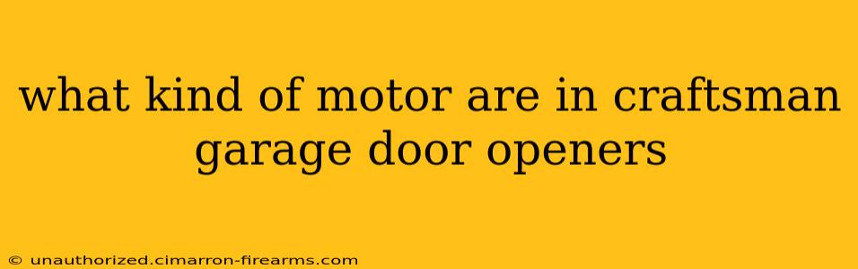 what kind of motor are in craftsman garage door openers