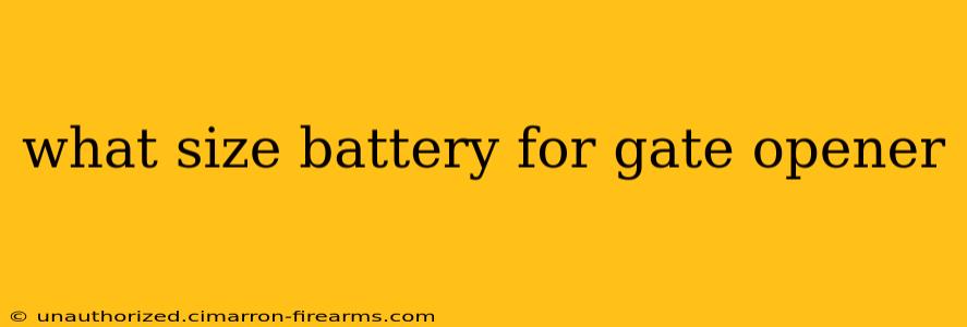 what size battery for gate opener