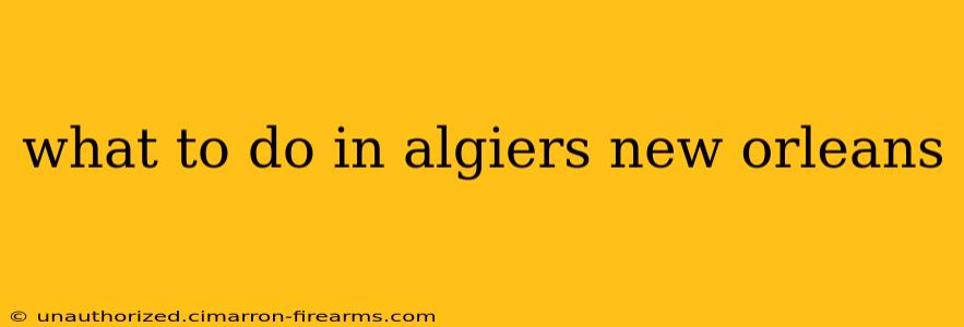 what to do in algiers new orleans