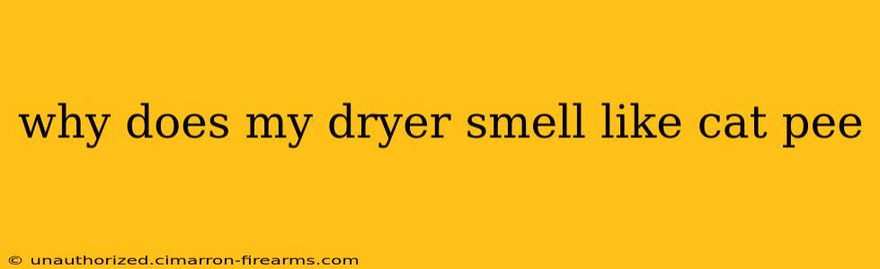 why does my dryer smell like cat pee